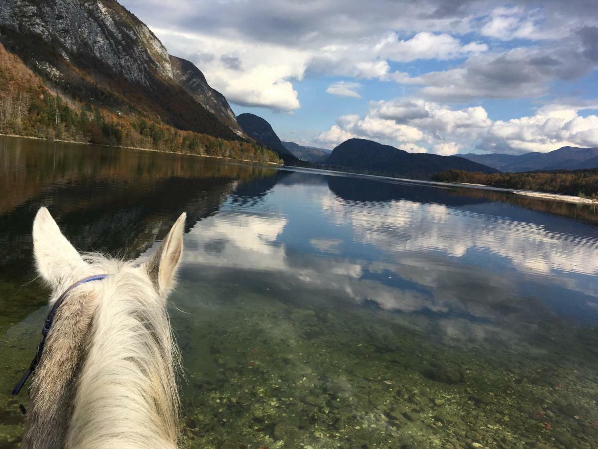 Ucni Ranc, Bohinj Lägenhet Exteriör bild