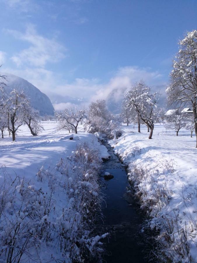 Ucni Ranc, Bohinj Lägenhet Exteriör bild