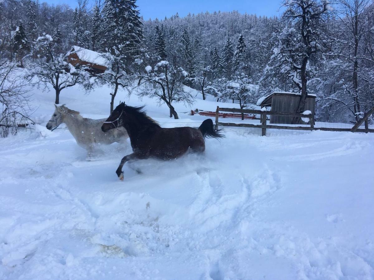 Ucni Ranc, Bohinj Lägenhet Exteriör bild